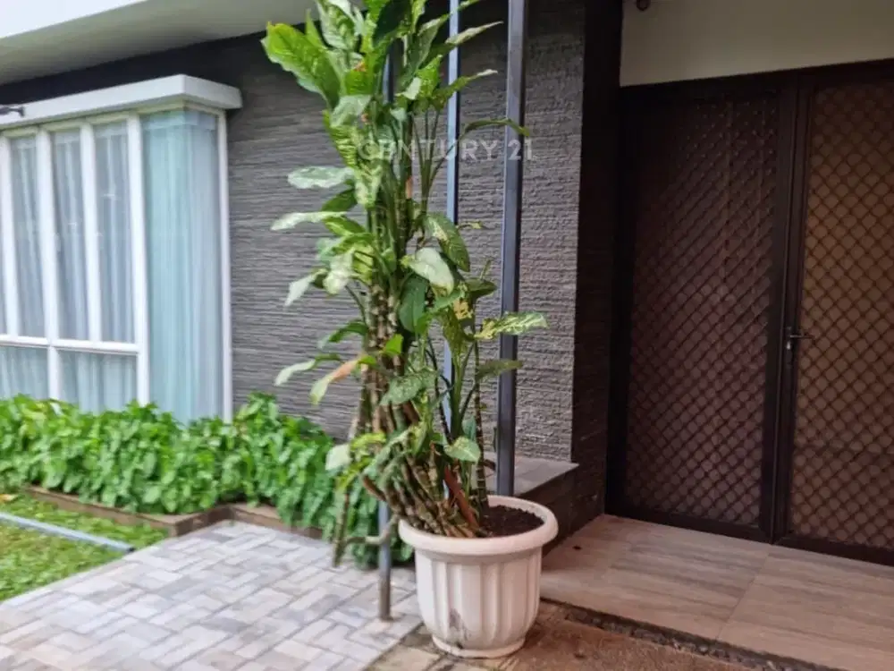 Disewakan Rumah Area Cilandak Barat Modern Look Dekat Citos