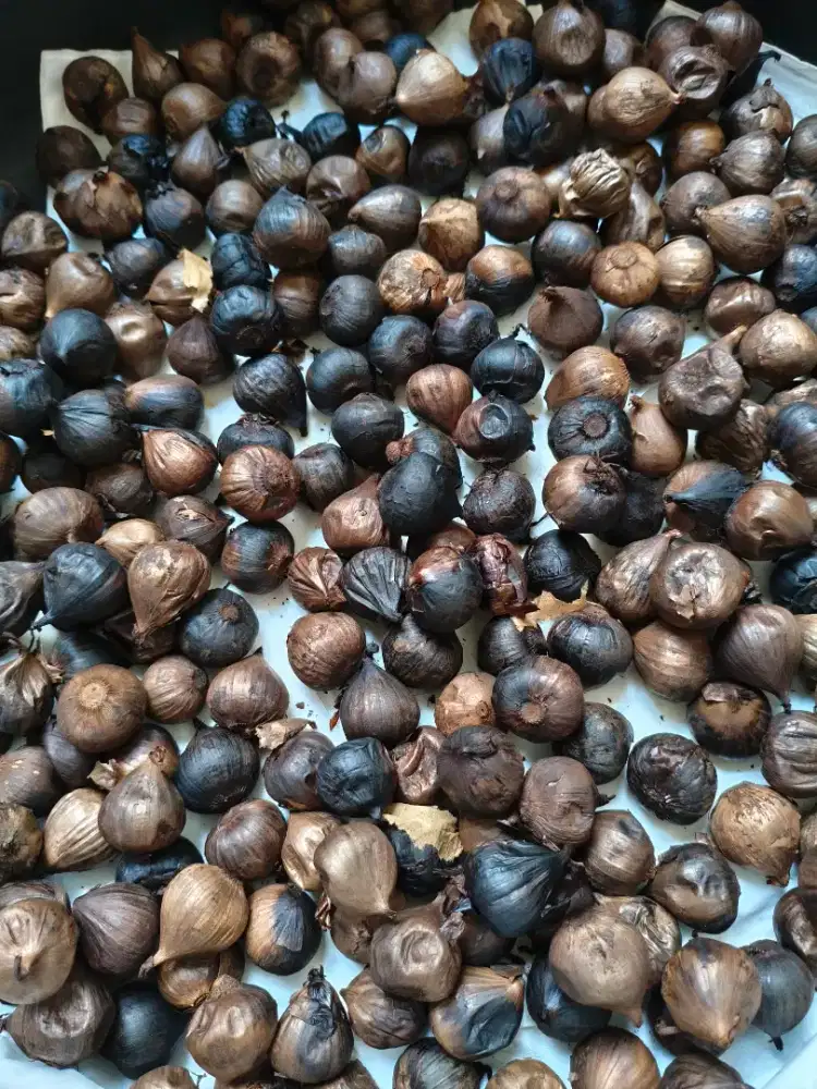 BLACK GARLIC BAWANG HITAM FERMENTASI HERBAL ORGANIK HOMEMADE