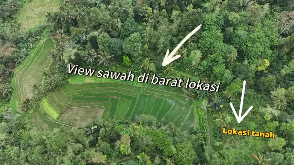 Dijual Tanah Kebun Los Sungai View Sawah Cocok Untuk Hunian Dan Villa