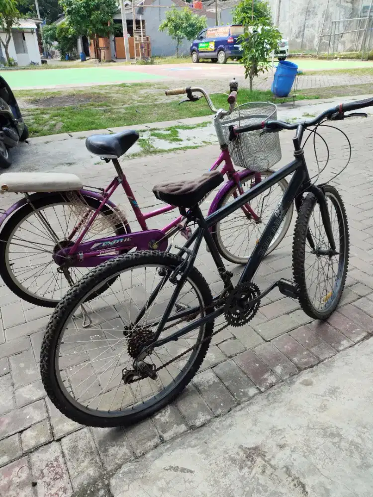 Jual sepeda borongan