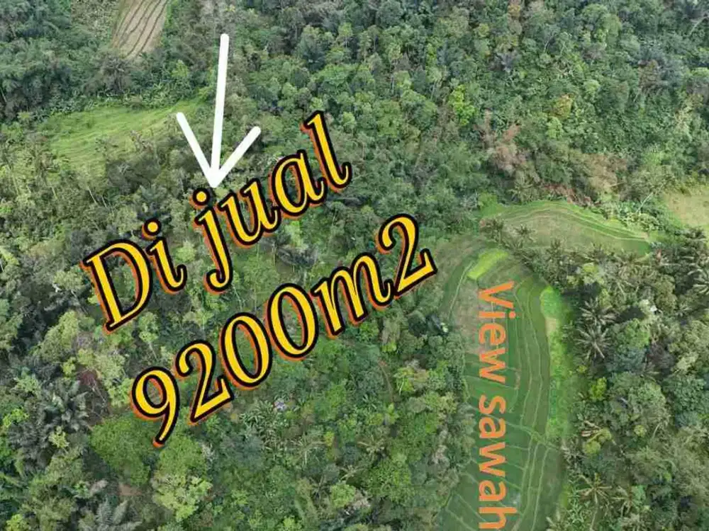 Dijual Tanah Los Sungai View Sawah  Penebel Tabanan Bali