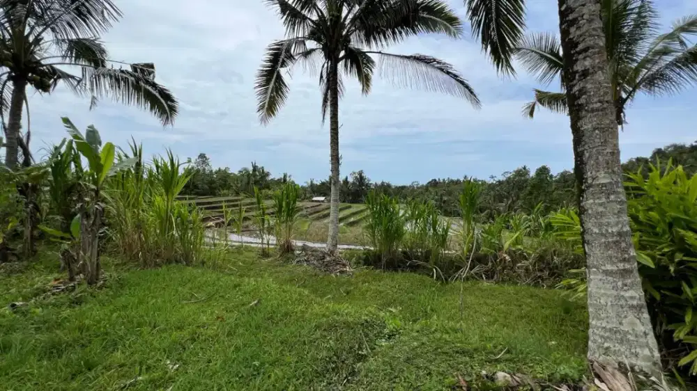 Dijual Tanah View Sawah Dan Gunung Cocok untuk Hunian Dan Villa