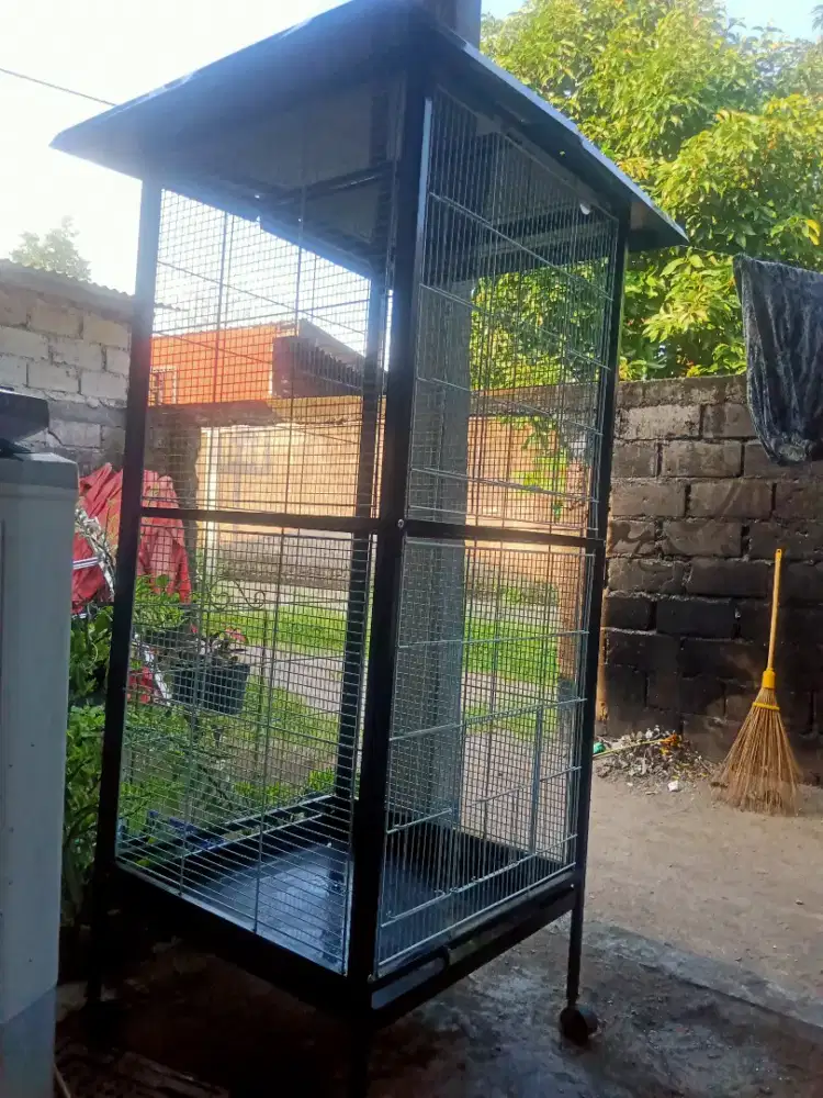 kandang aviary cavea mulus 60x60x150