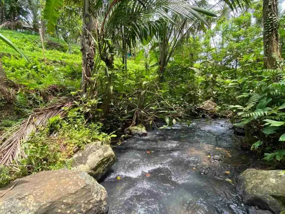 Dijual Tanah View Sawah Dan Gunung Di Tabanan Bali