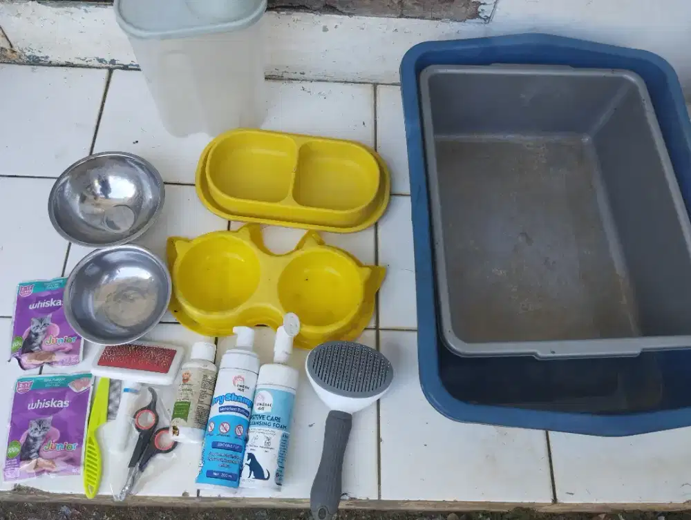Perlengkapan kucing bekas pemakaian