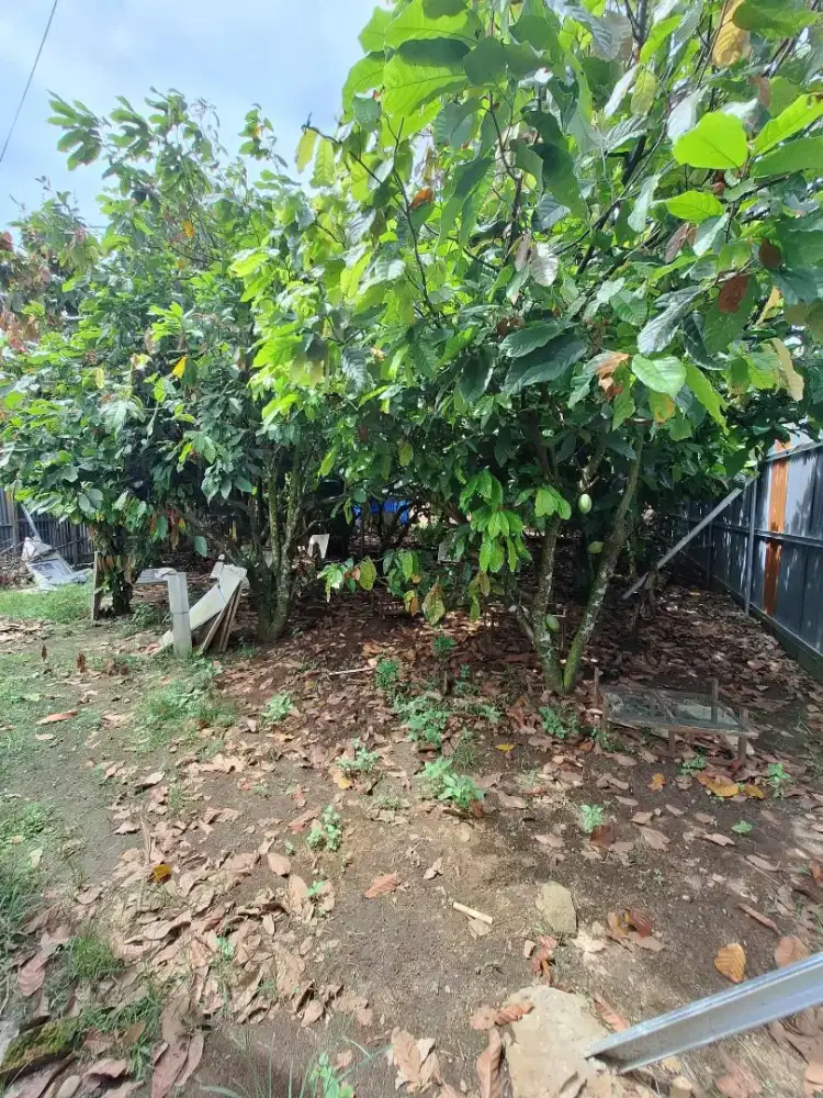 Dijual Cepat Tanah di daerah Tanjung Morawa (NEGO)