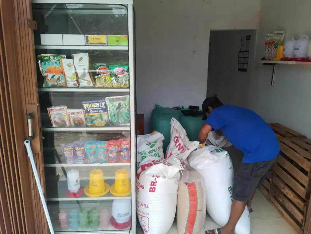 Jaga Toko Pakan Hewan Ternak
