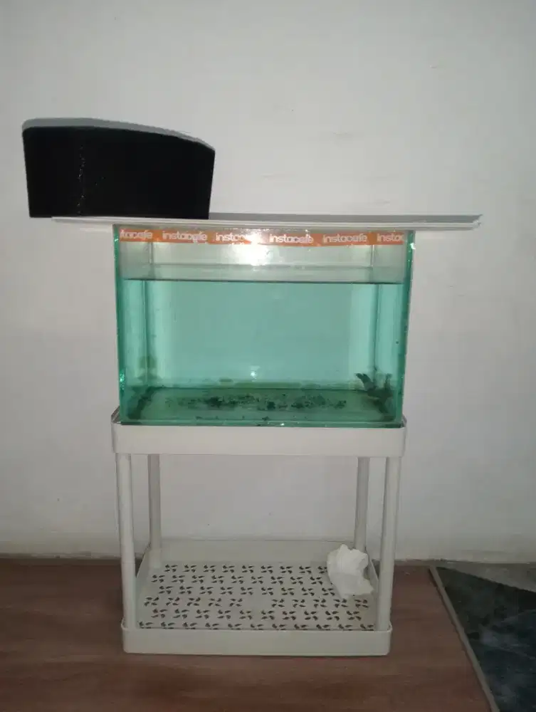jual aquarium ukuran 30