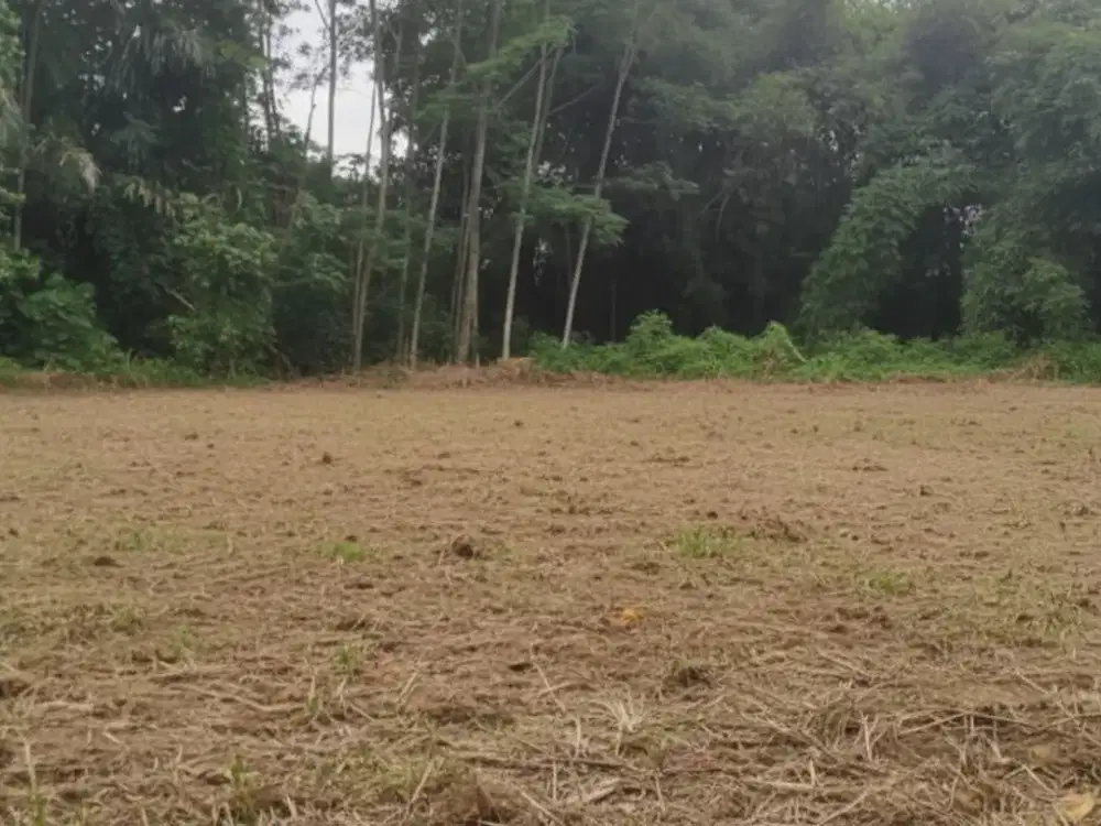 Tanah Jogja 3Jutaan SHM 15 Menit Terminal Jombor