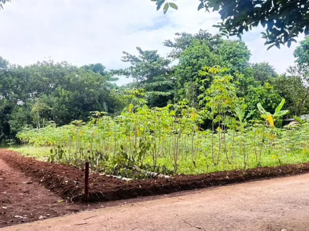 Tanah Murah Setu Bekasi,Terima SHM PerUnit Mulai 1JTan