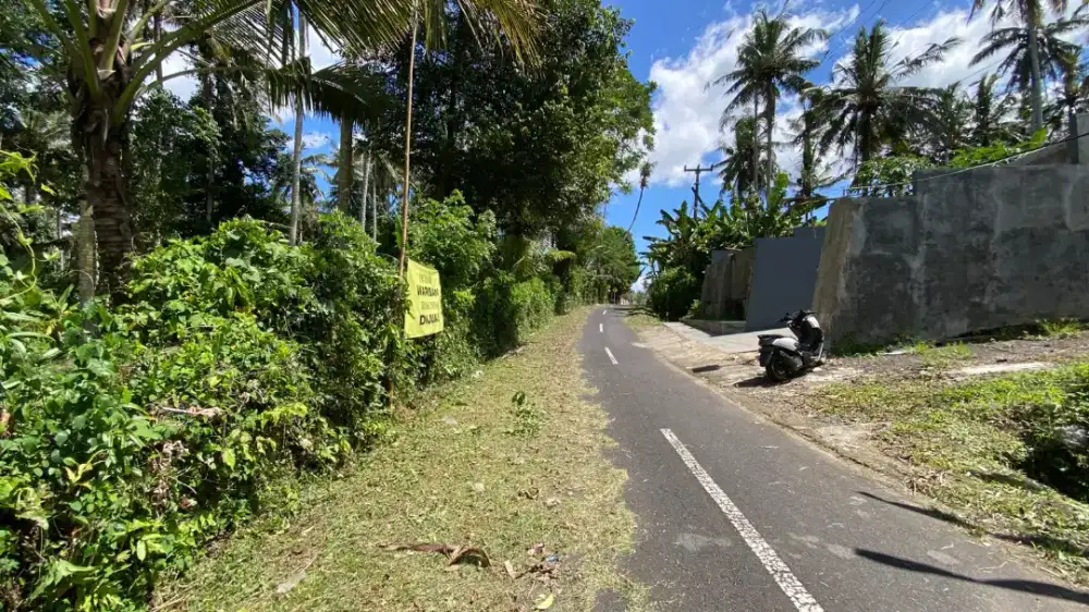 Dijual Tanah Kebun Kelapa Kontur Datar Cocok Untuk Villa Dan Investasi