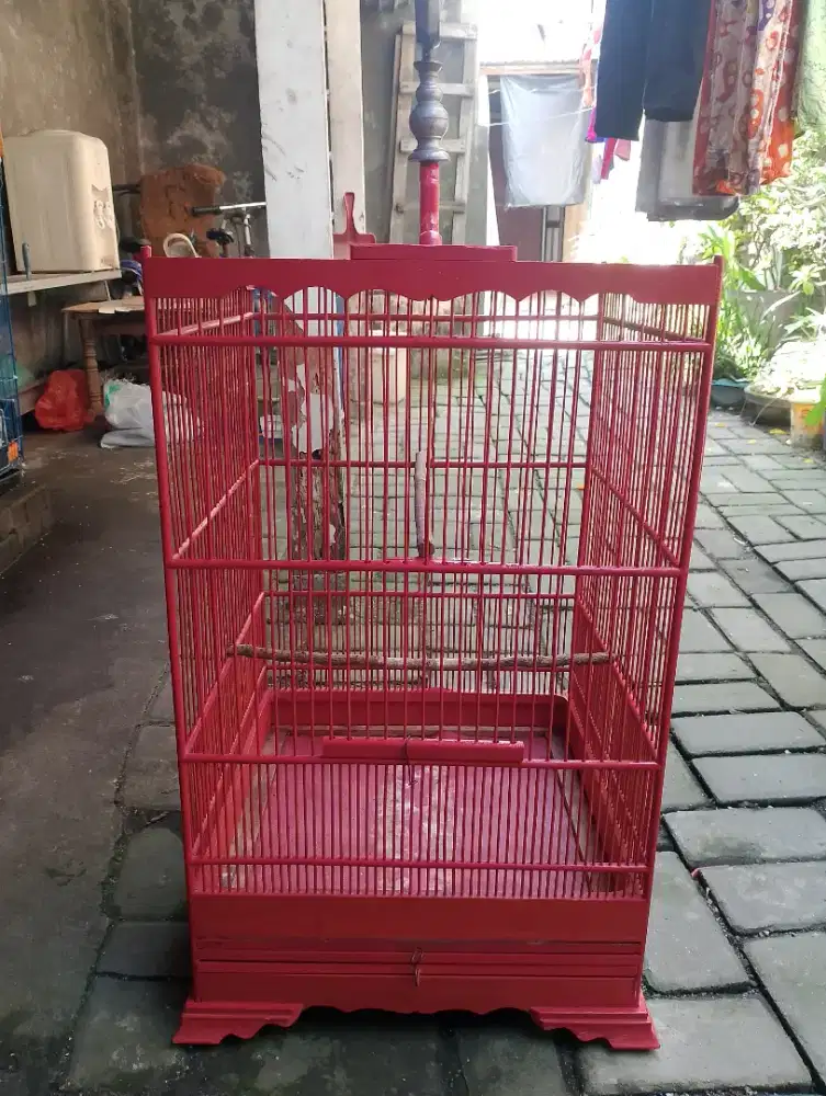 Sangkar burung ukuran 40x40 jati antep