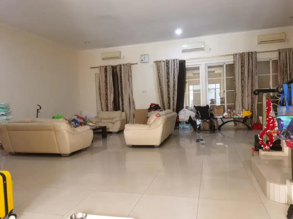 Pik - Murah Rumah Kuda Laut