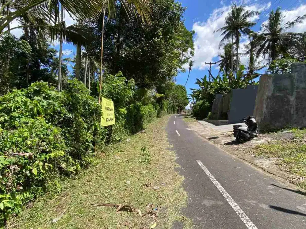 Dijual Tanah Kebun Kelapa  Dengan Kontur Datar Cocok Untuk Villa Dan Investasi