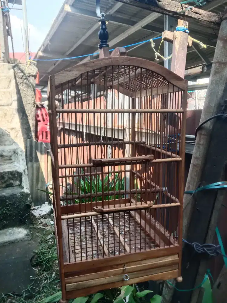 Kandang burung jati