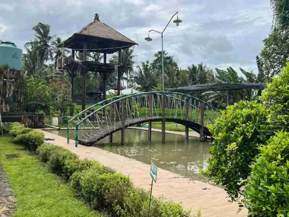 Dijual Tanah Isi Bangunan Villa Dengan View Sawah Gunung Yg Indah Di Tabanan Bali