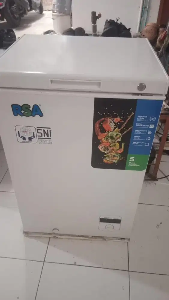 RSA FREEZER 100lt