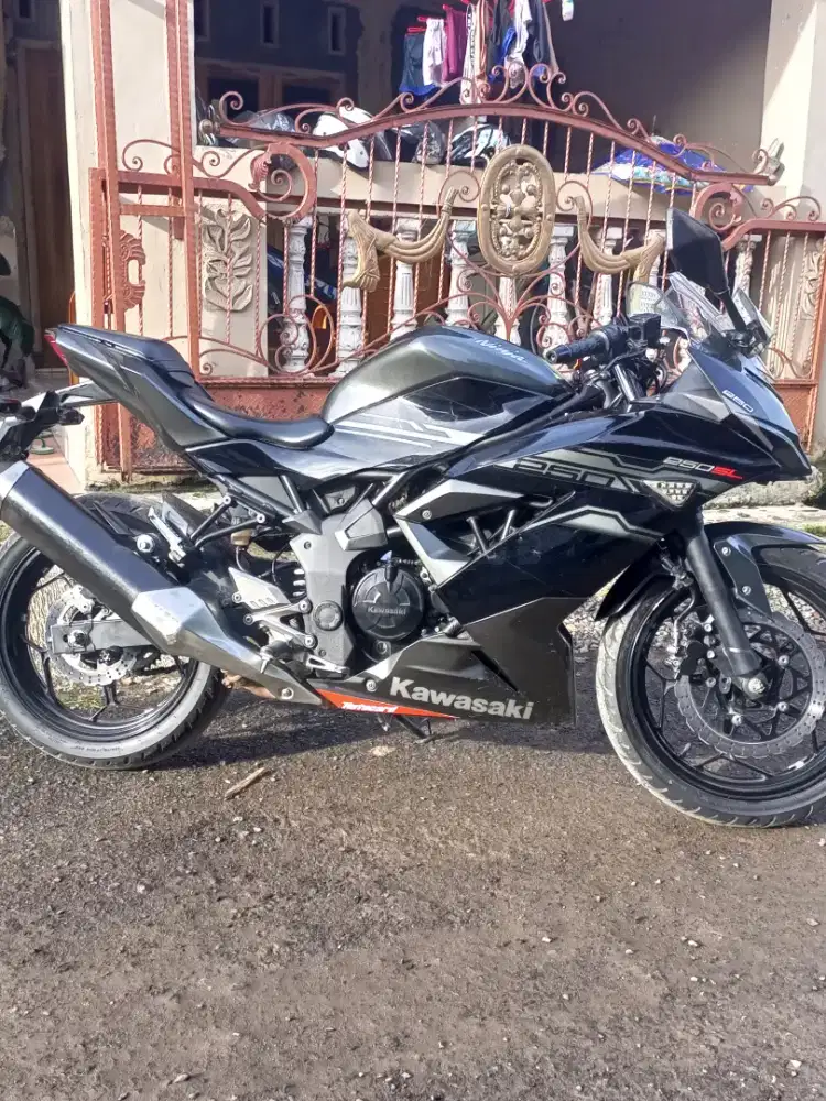 Ninja 250 mono SL