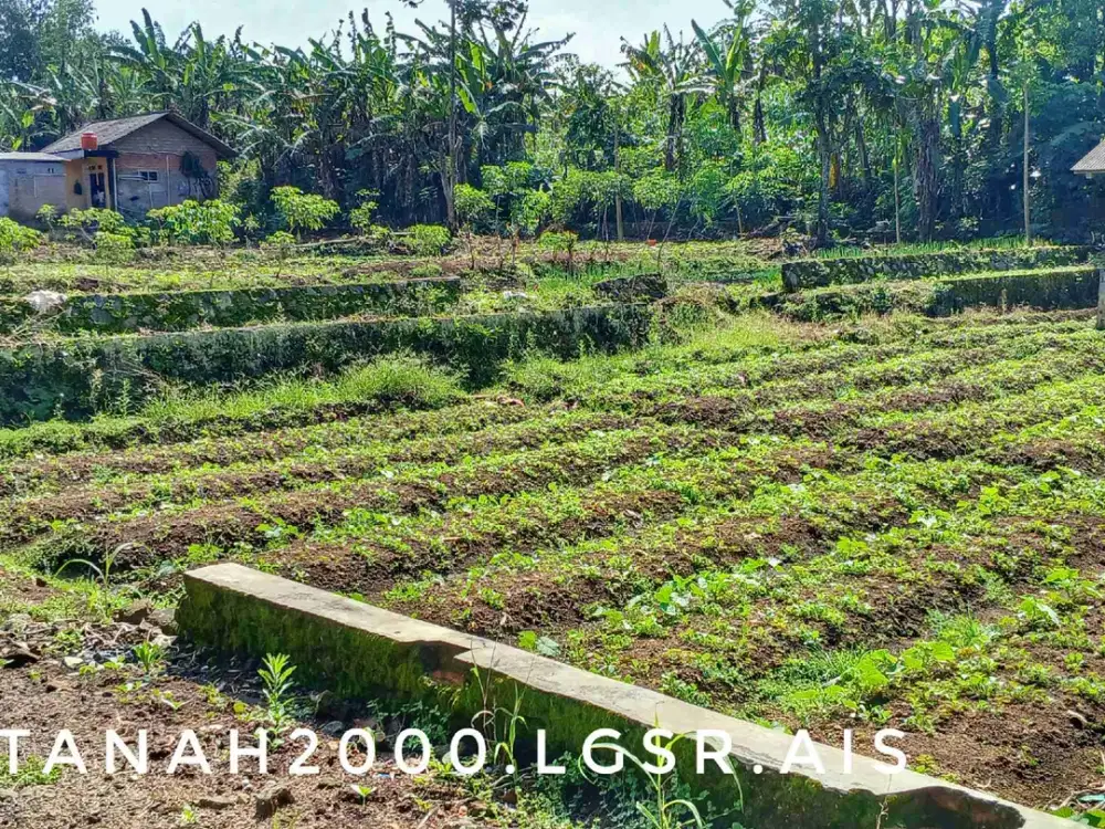 Dijual sebidang tanah luas subur kebun sawah pinggir jalan akses mudah.