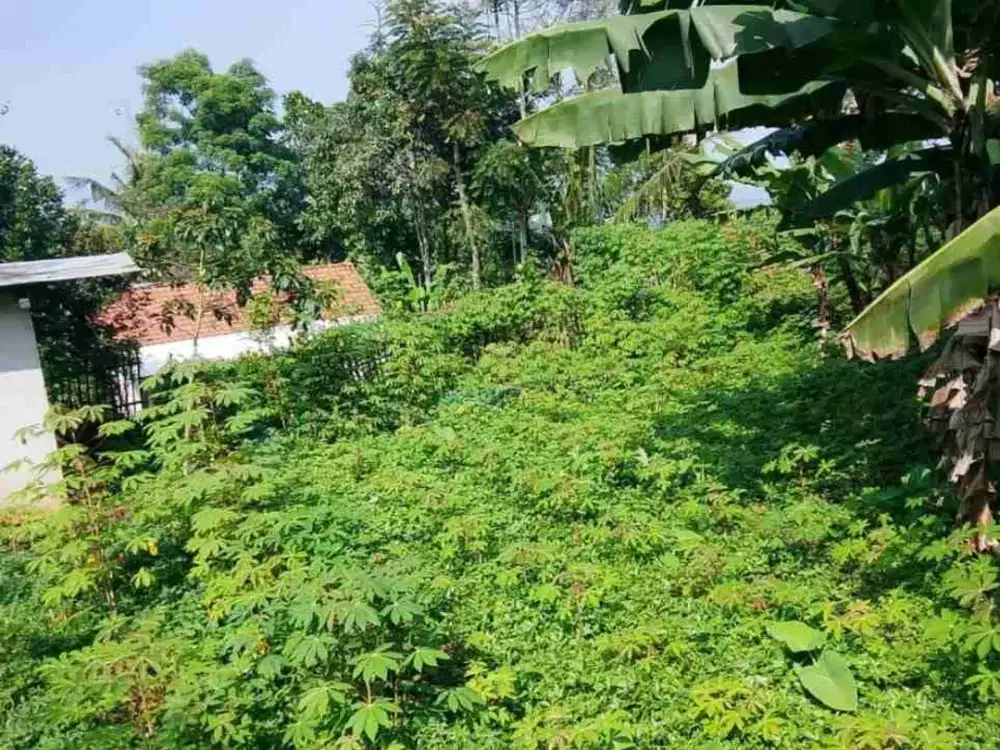 JUAL CEPAT TANAH MURAH BAROS BANJARAN DEKET WISATA MEGA TUTUPAN