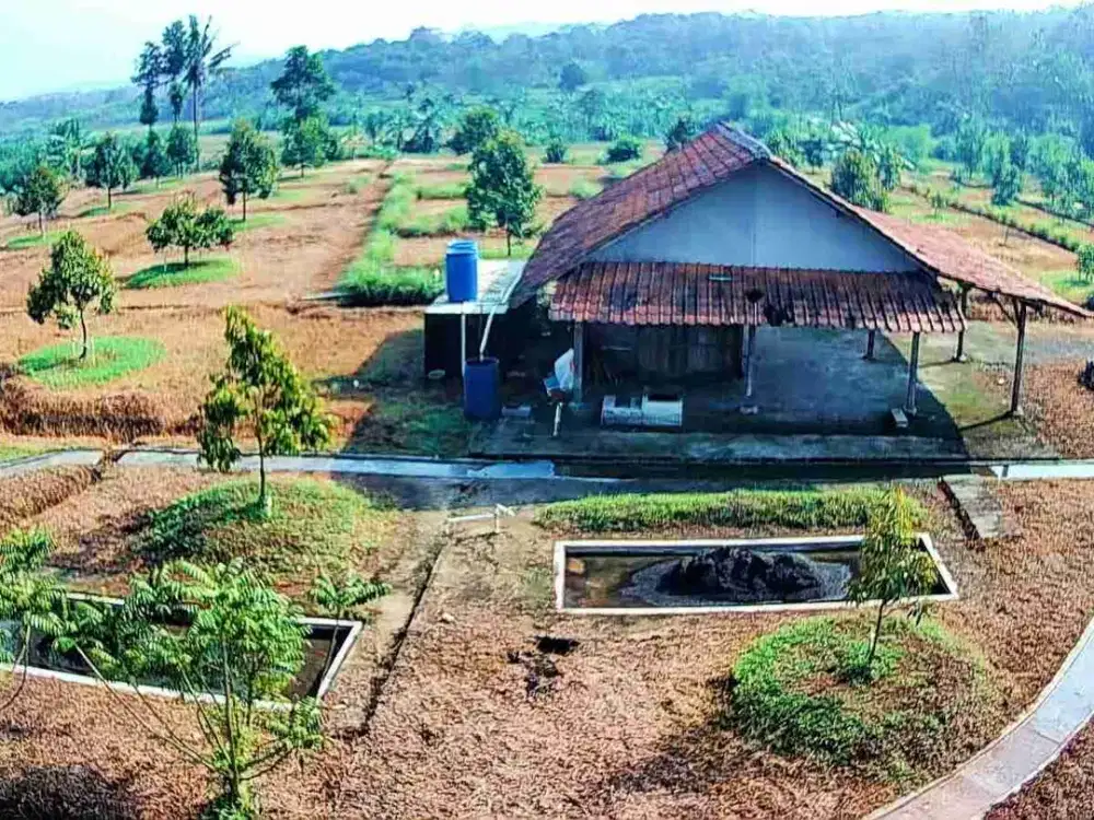 Kebun durian & Villa 8900 m2 80rb/m2