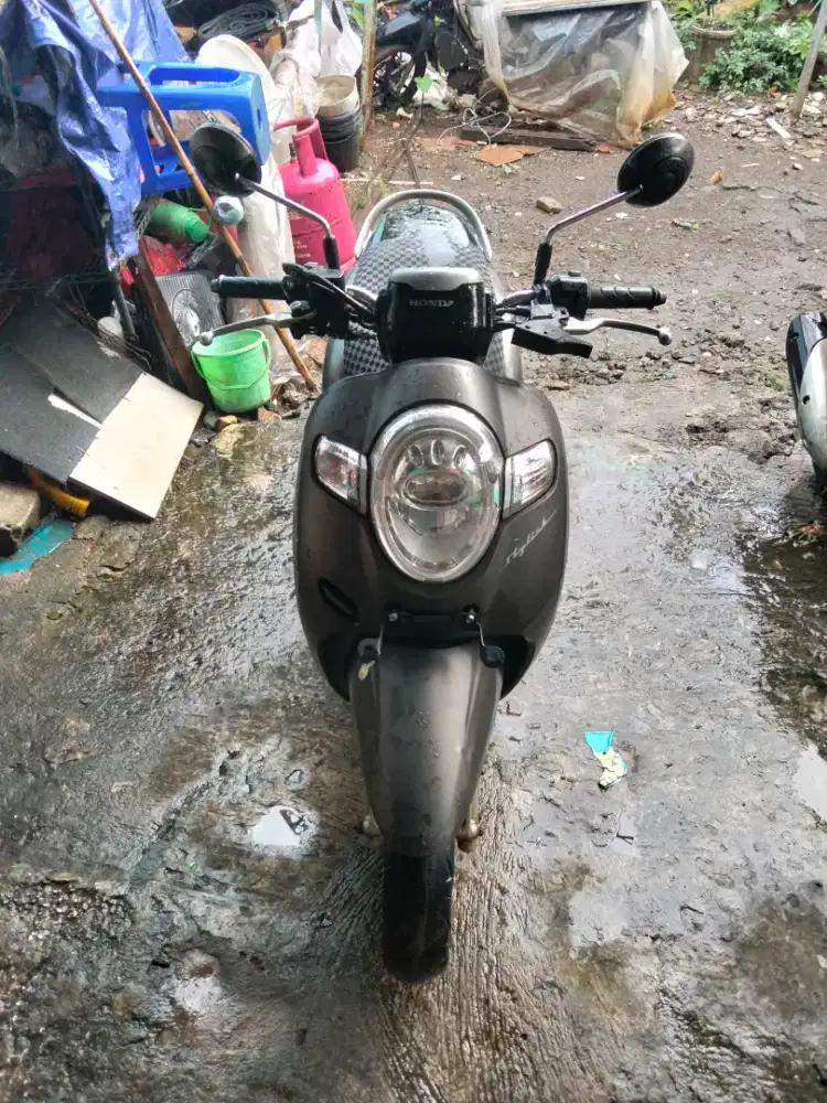 Honda Scoopy 2019
