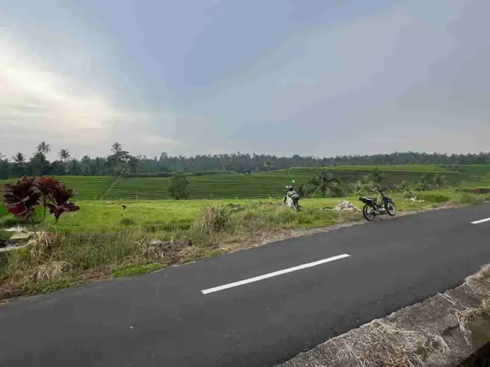 Dijual Tanah Ertanian Produktif Dengan View Gunung Sawah Dan Laut Di Tabanan Bali