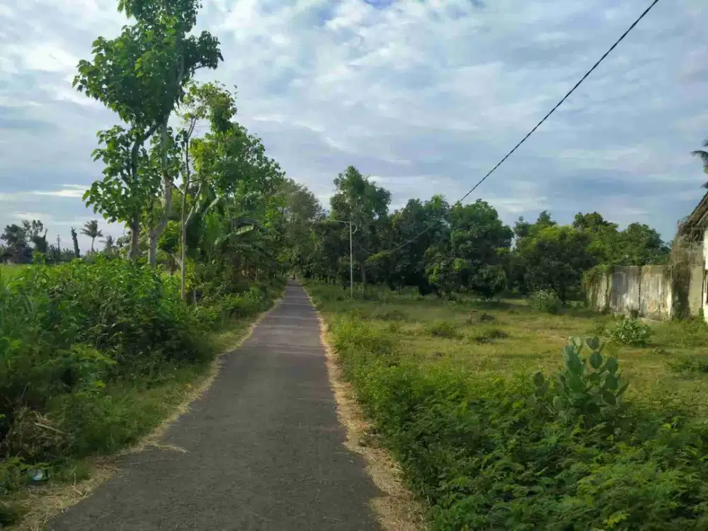 DIJUAL MURAH TANAH NOL JALAN RAYA SITUBONDO -BANYUWANGI/ARJASA