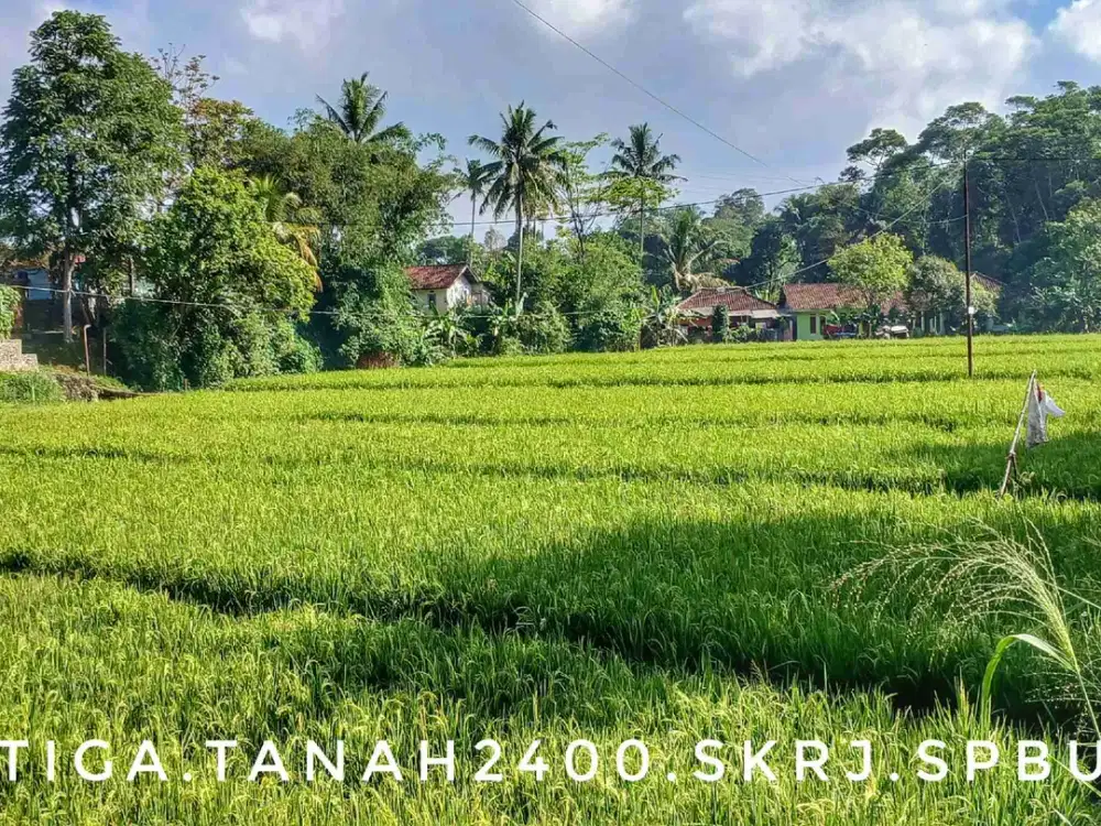 Dijual sebidang tanah sawah datar pinggir jalan dekat kota