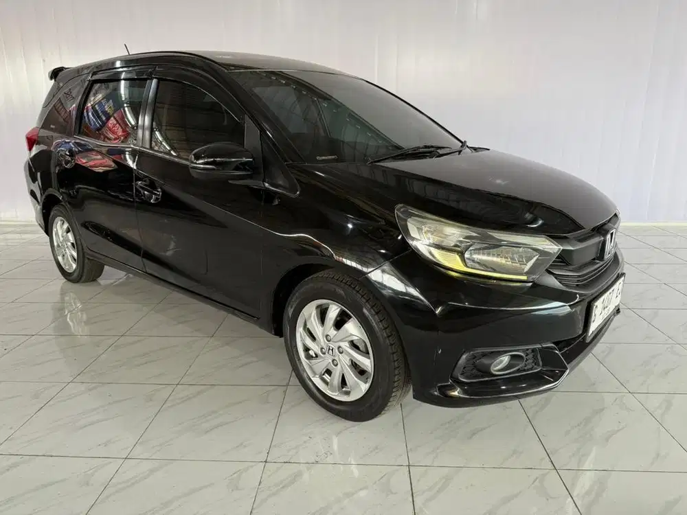 MobiLiO E manuaL 2018