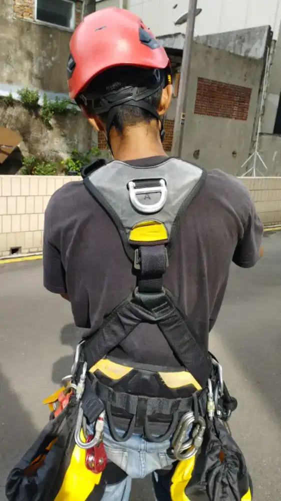 AVAO Fullbodyharness Petzl