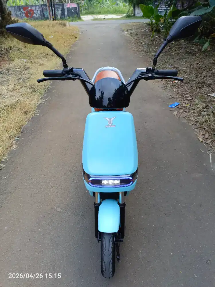 sepeda listrik winflay d8