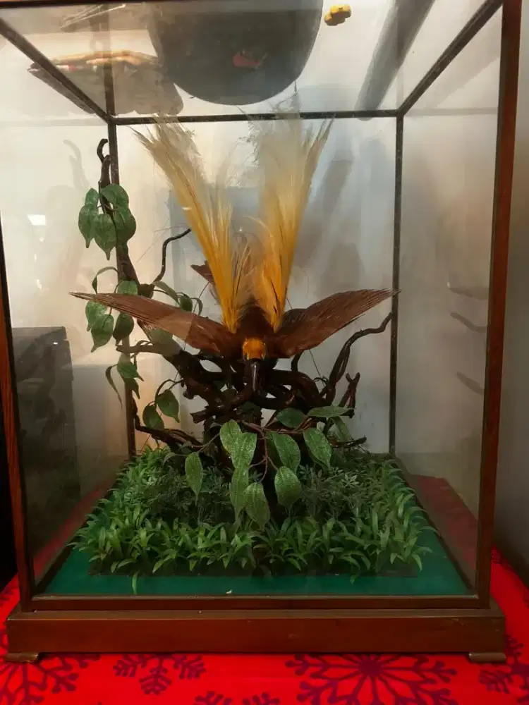 Pajangan Cendrawasih