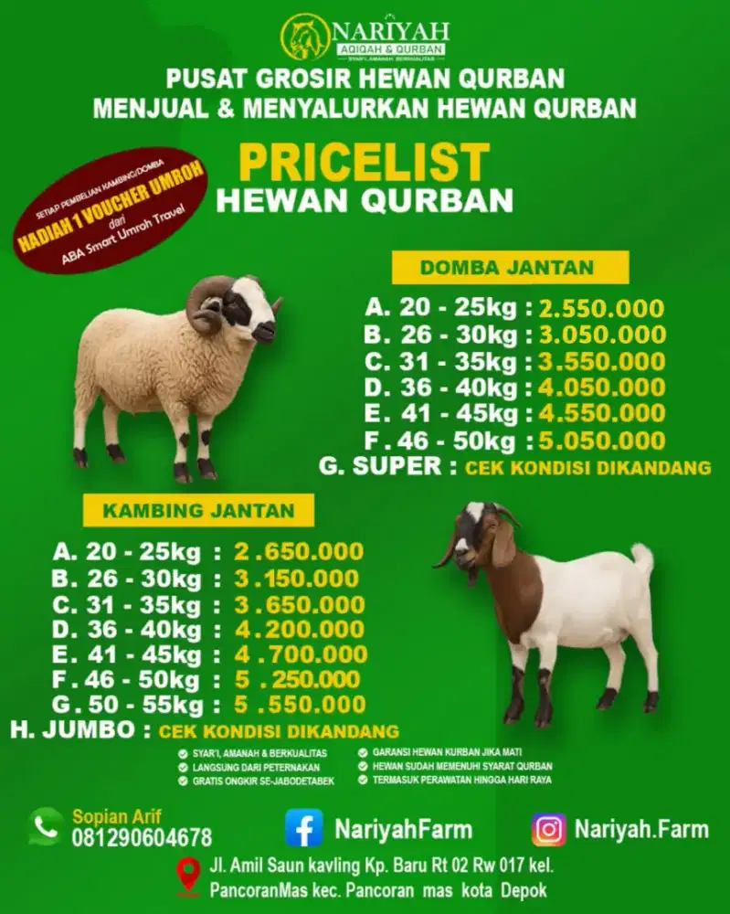 Kambing dan Domba