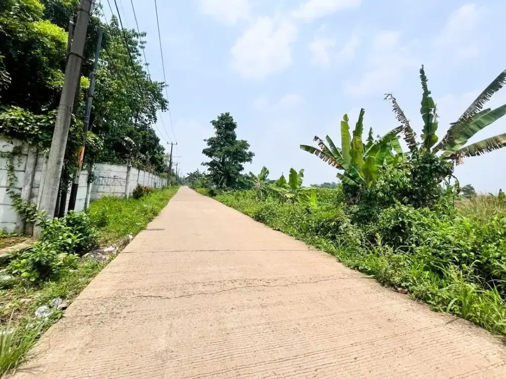 Dijual Kavling Cisauk Mulai 1Jtan Cocok Bangun Hunian