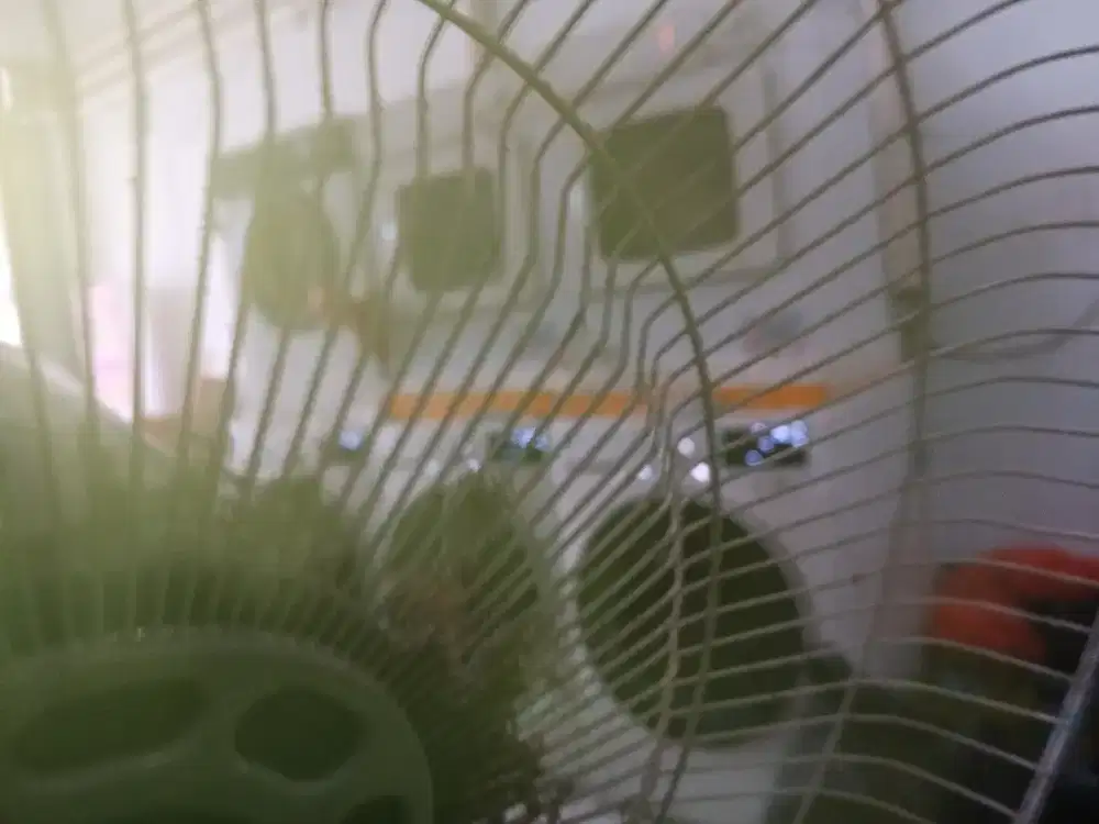 Butuh karyawan untuk dilaundry