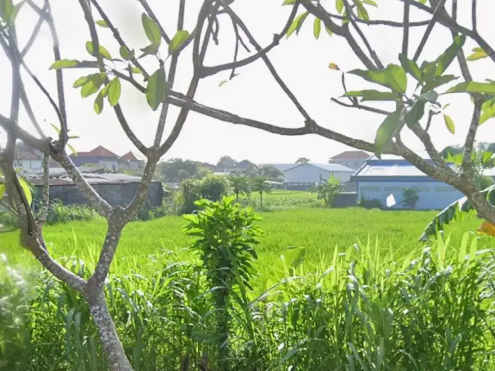 ID:H-128 Dijual Tanah 10,25 Are Kesiman Kertalangu Denpasar Timur Bali Dekat Gatsu Sanur Gianyar