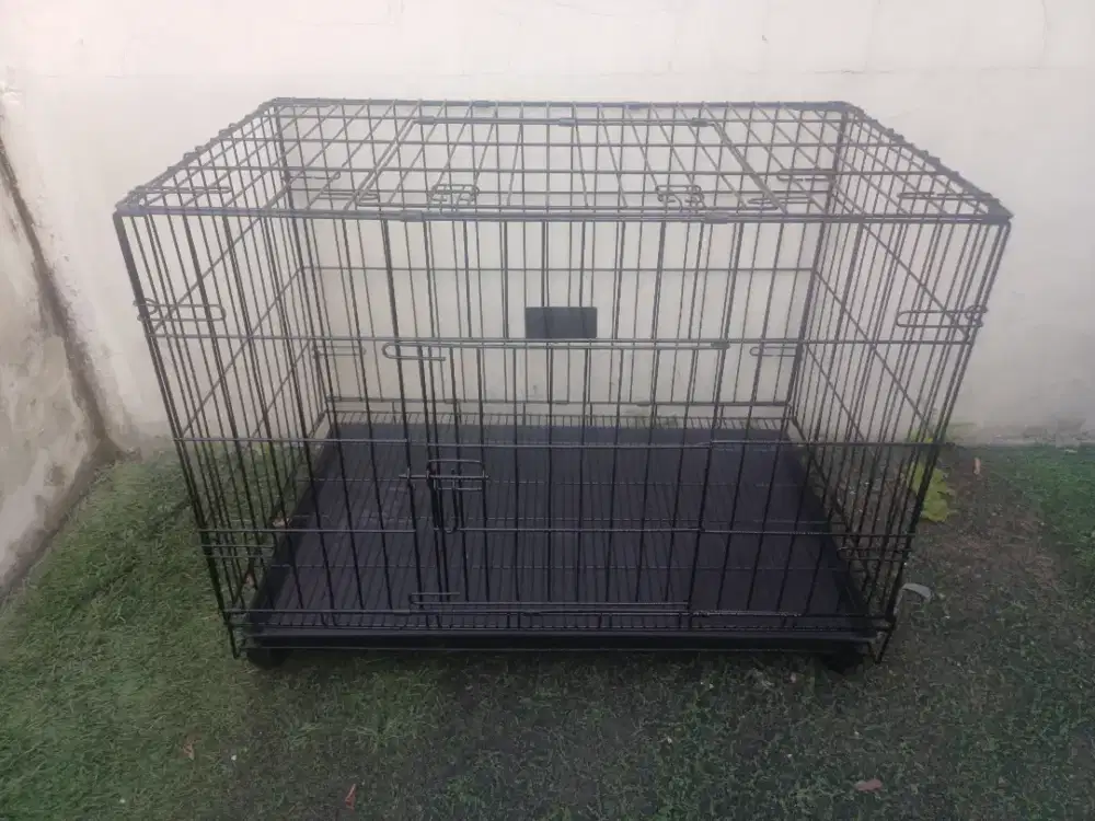 Kandang kucing besi octagon