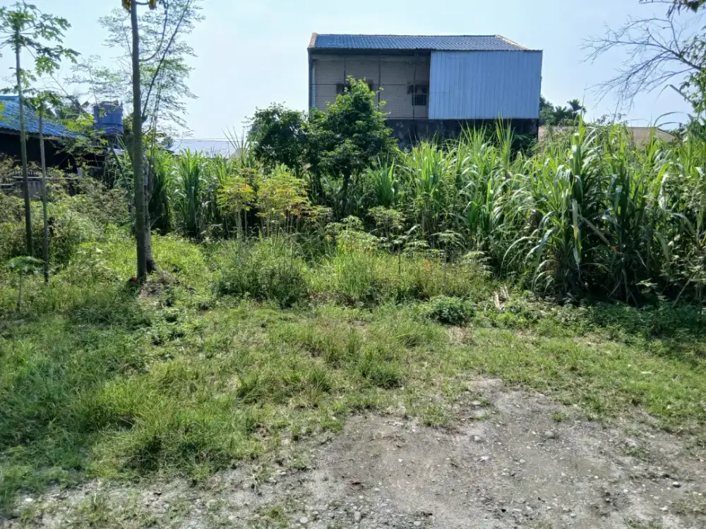 Di jual tanah daerah suka maju dengan luas 21m x 20m