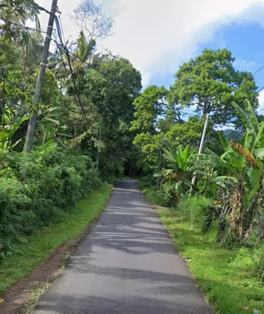 Dijual tanah kebun di Bisungbiu, Buleleng