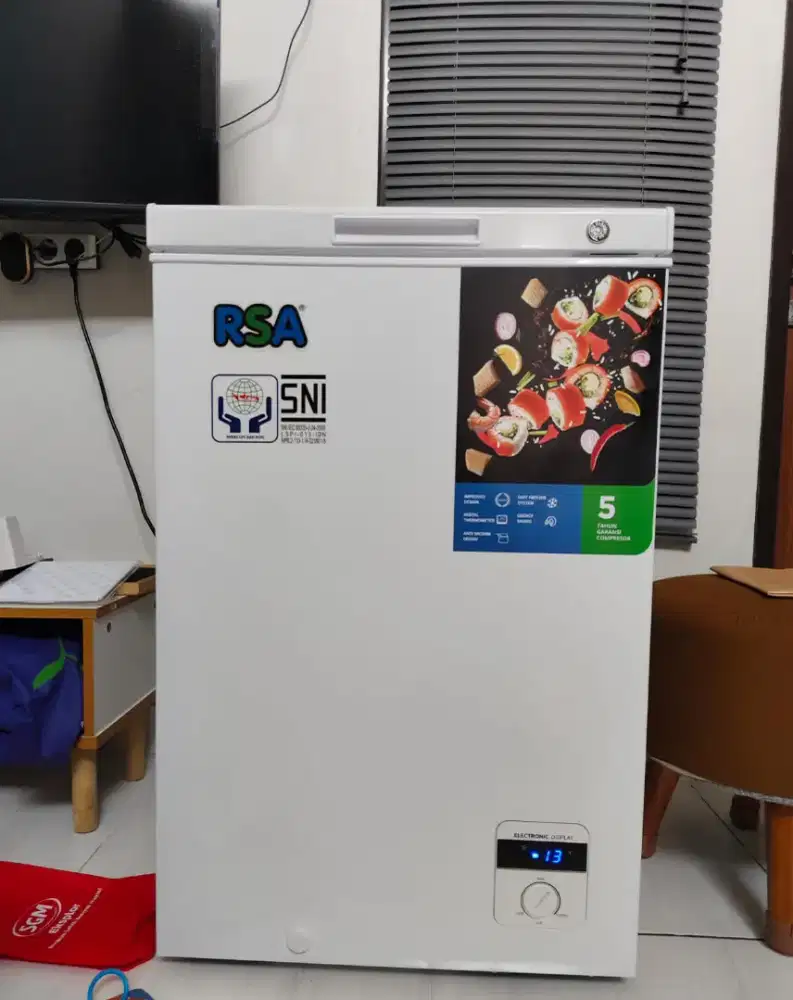 Freezer RSA 100 Liter