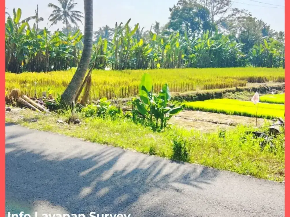 Tanah Jogja Dekat Waroeng Tengkleng Gajah Kaliurang Km9