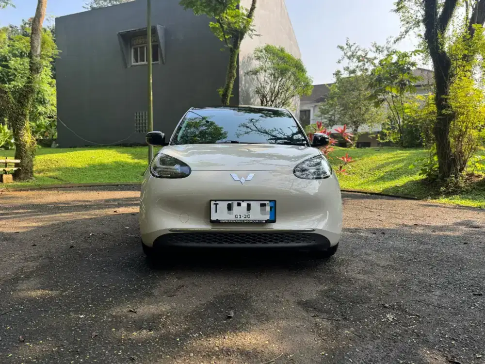 Binguo Premium Range 410