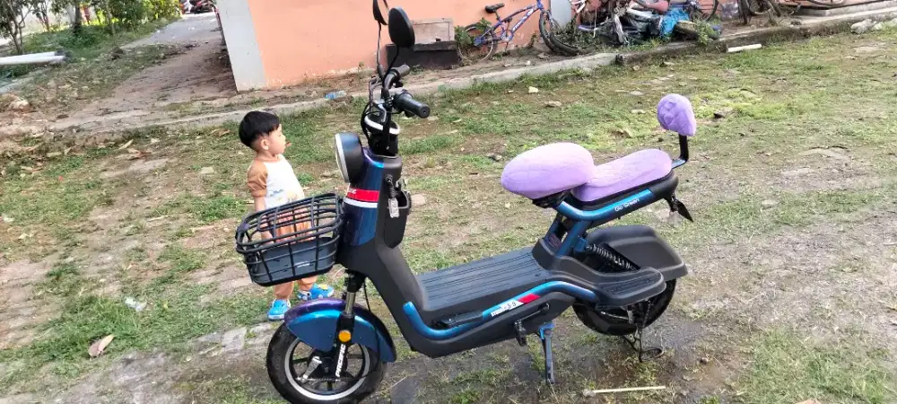 Sepeda listrik pacific syncros 5,5