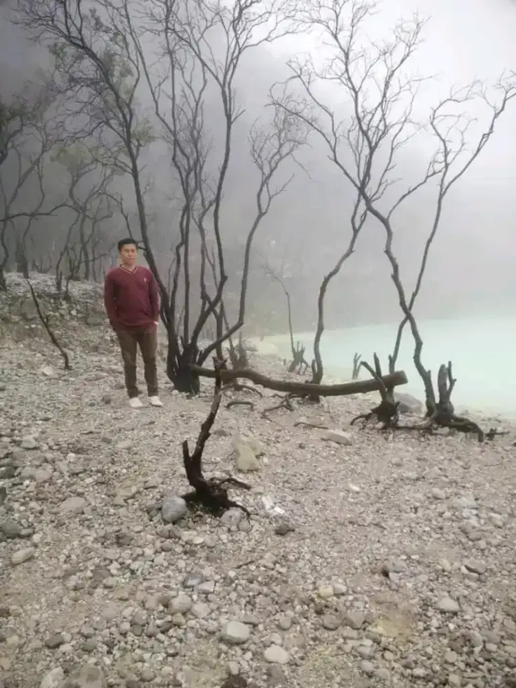 Mencari pekerjaan sopir pribadi