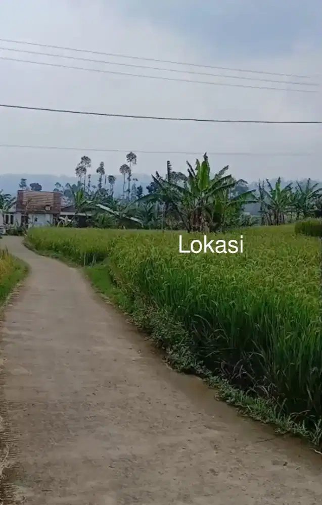 JUAL LAHAN PRODUKTIF AKSES MOBIL AREA CIWIDEY