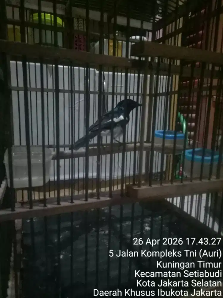 JUAL SANTAI TAPI PASTI