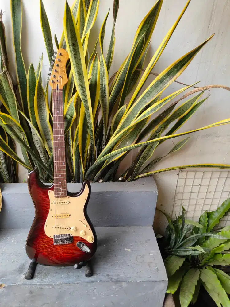 Gitar startocaster tgm korea