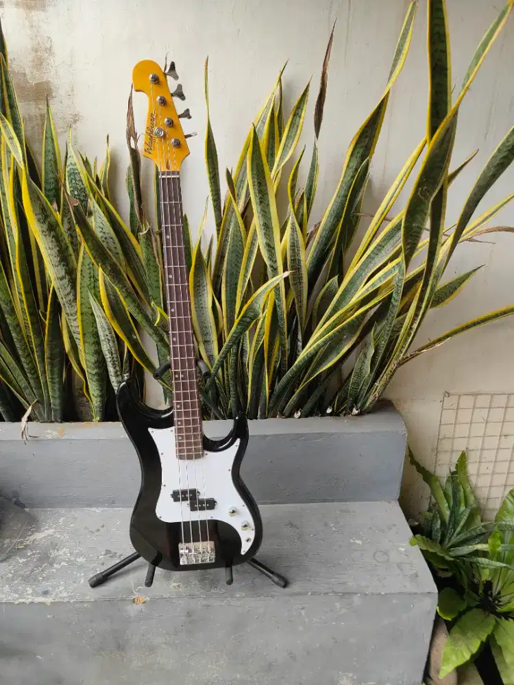 Bass Washburn sonamar