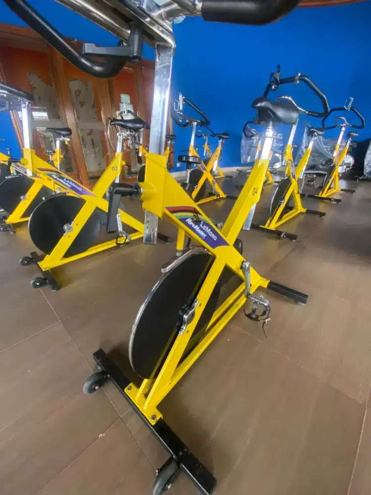 Life Fitness Lemond Revmaster Classic Indor Cycle